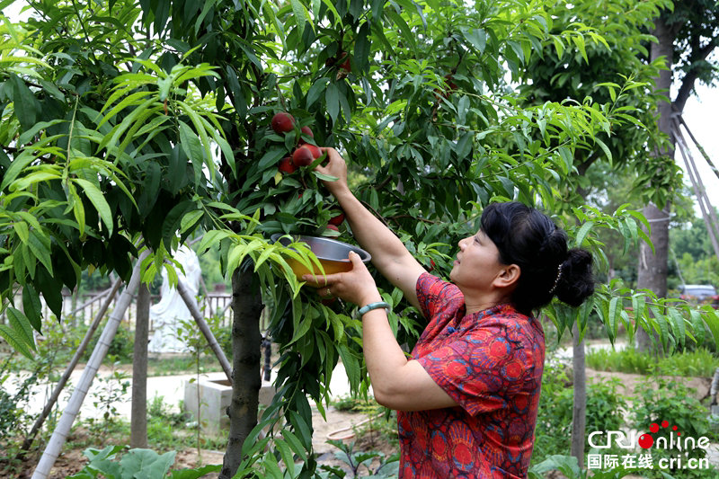 【A】【河南人的一天·第3期】河南省级非遗传承人王玲:把黄河的礼物送给年轻人