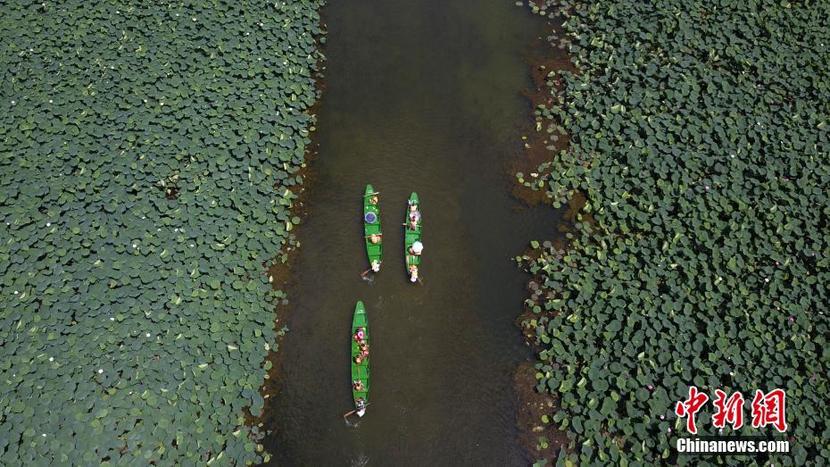 图片默认标题_fororder_CCTV-000700