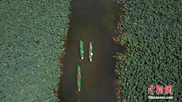 图片默认标题 图片默认标题_fororder_20190719Yunnan4