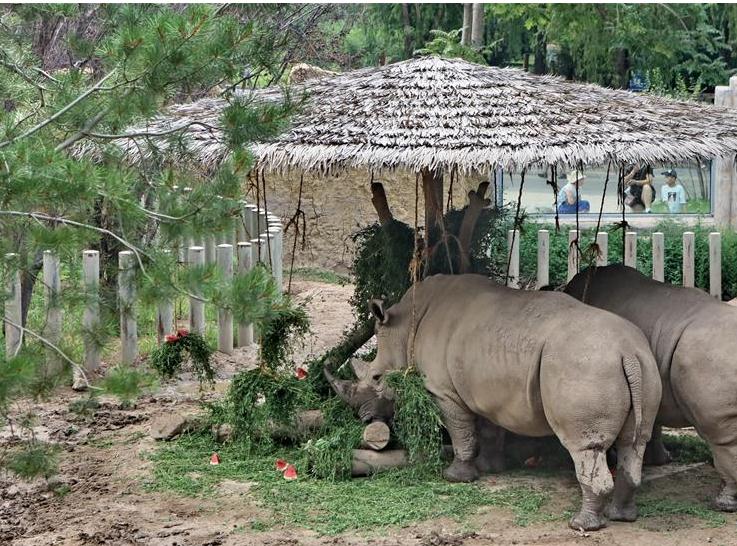 图片默认标题_fororder_微信截图_20190719142509