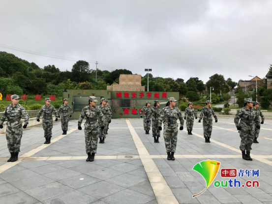 温州有一座岛，盛产“花木兰”