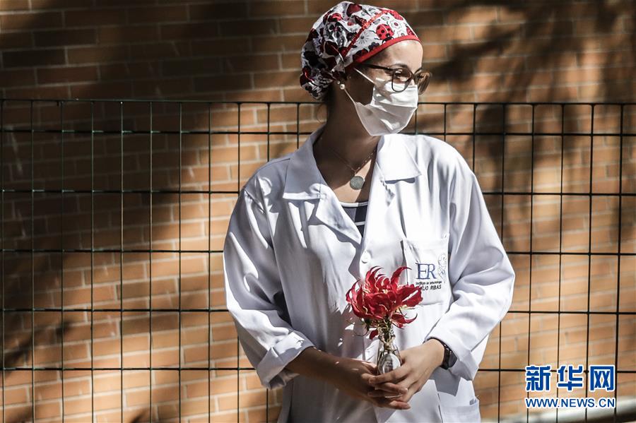巴西圣保罗：鲜花致敬医务工作者