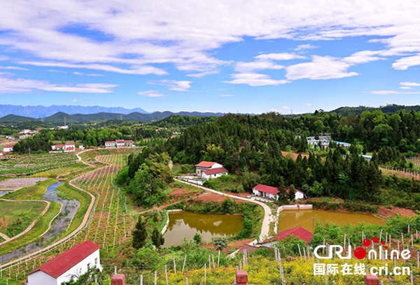 图片默认标题_fororder_未标题-2