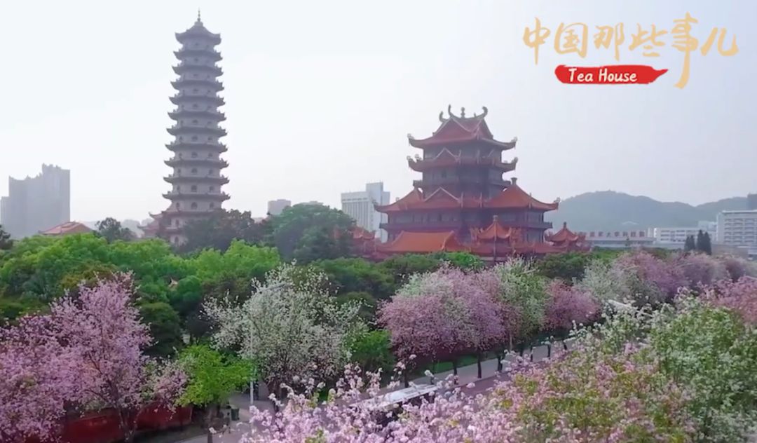 殊荣！世界遗产保护进入“中国时间”