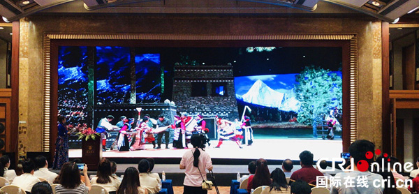 图片默认标题_fororder_1、推介会现场-摄影-张黎萍