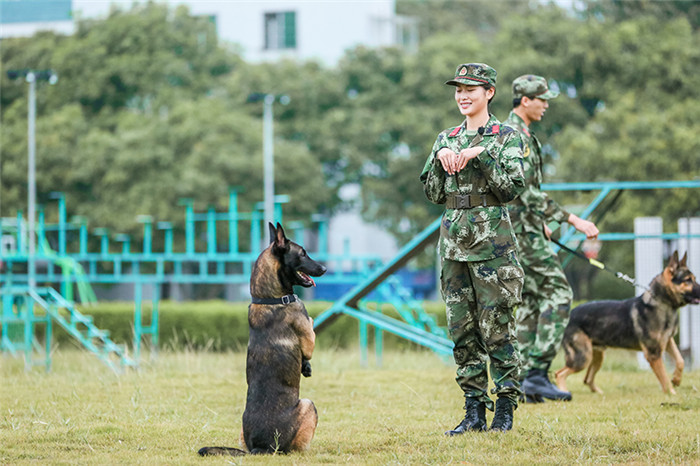 《奇兵神犬》低姿匍匐难度升级 沙溢训练失控(图)