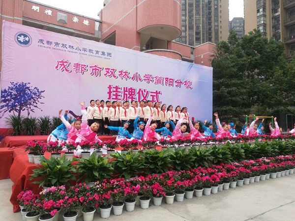 图片默认标题_fororder_4