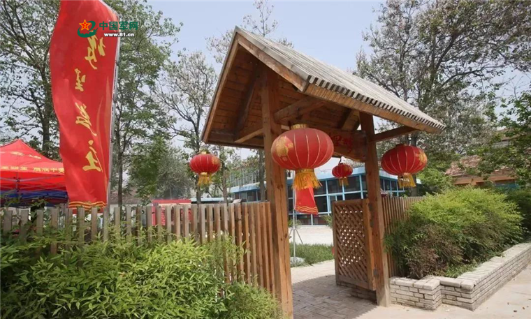 【精神的力量·新时代之魂】兰考：一棵树的生长，一座城的蜕