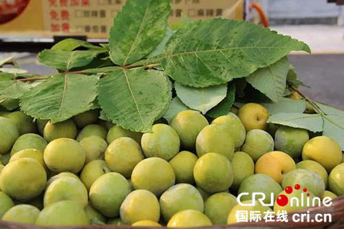 图片默认标题_fororder_诱人的雪溪脆李-摄影-徐琴