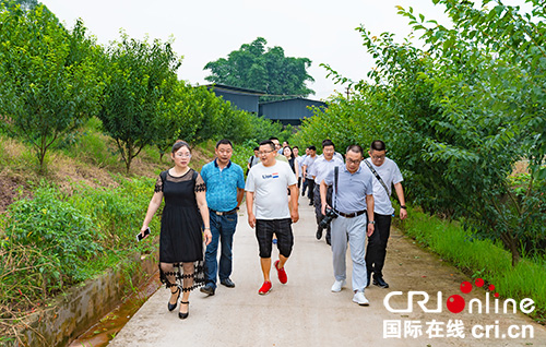 图片默认标题_fororder_1媒体采风行活动走进富顺高粱产业基地（摄影-廖志全）