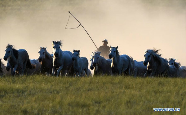 图片默认标题 图片默认标题_fororder_20190722InnerMongolia7
