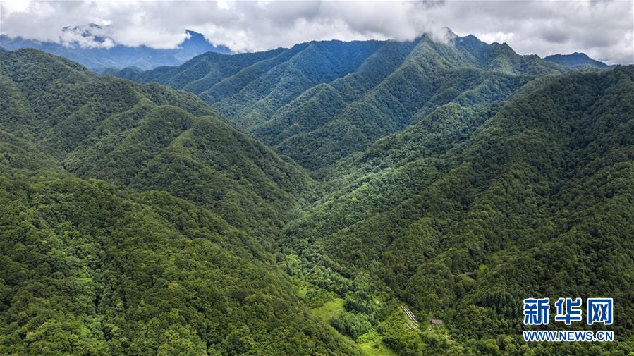 五代人不忘初心 七十载深耕林海(组图)