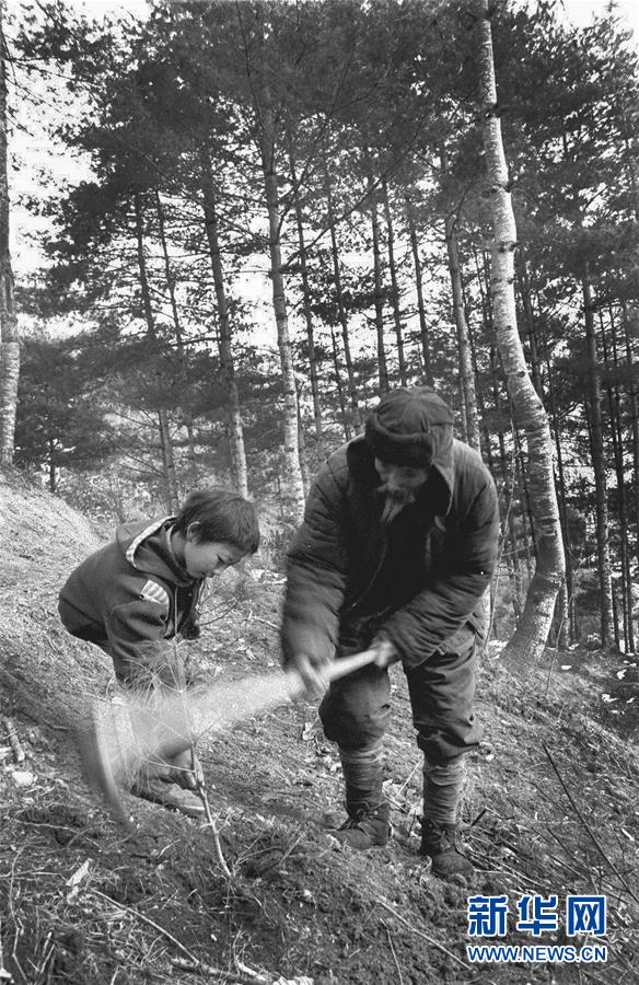 五代人不忘初心 七十载深耕林海(组图)
