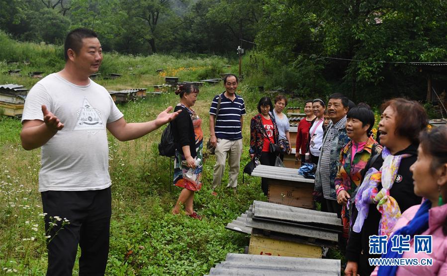 五代人不忘初心 七十载深耕林海(组图)