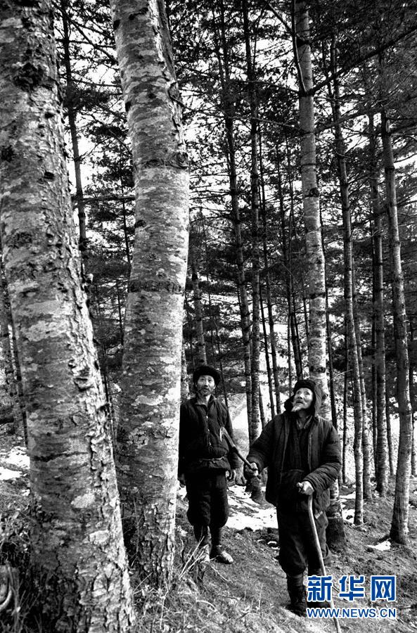 五代人不忘初心 七十载深耕林海(组图)