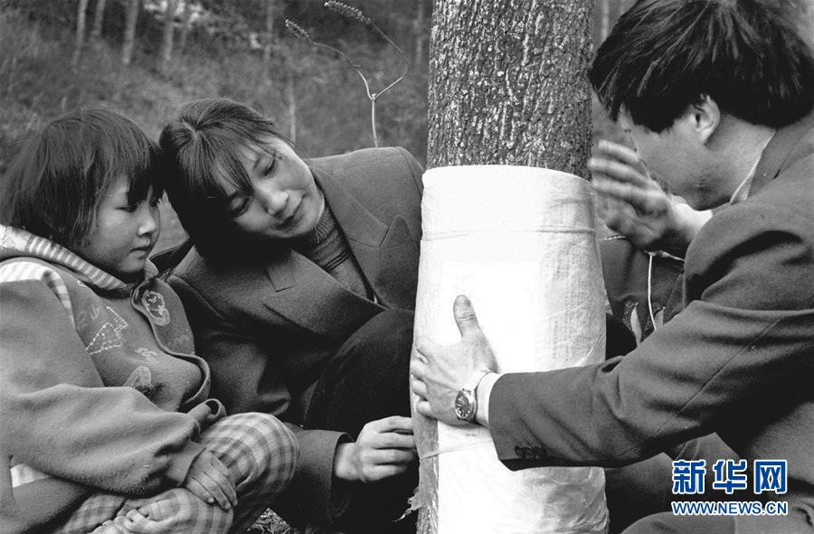 五代人不忘初心 七十载深耕林海(组图)