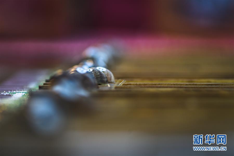 蜗牛赛跑锦标赛