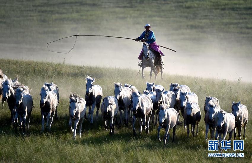 图片默认标题_fororder___172.100.100.3_temp_9500020_1_9500020_1_1_27f7d02a-3ff1-4062-afcb-8b894c75fb8d