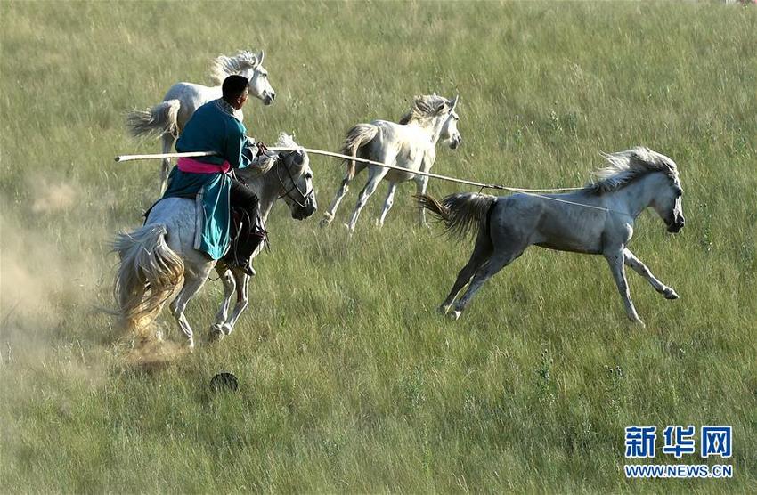 图片默认标题_fororder___172.100.100.3_temp_9500020_1_9500020_1_1_1f465efc-41e7-46fc-b18e-55c3f324f5a4