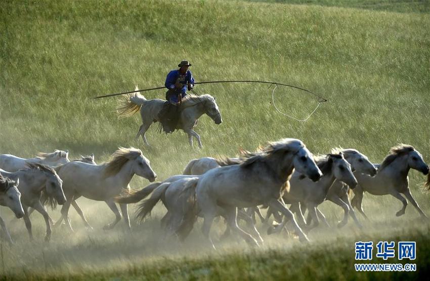 图片默认标题_fororder___172.100.100.3_temp_9500020_1_9500020_1_1_7b12c27a-af5e-4387-9985-ad0dff450051