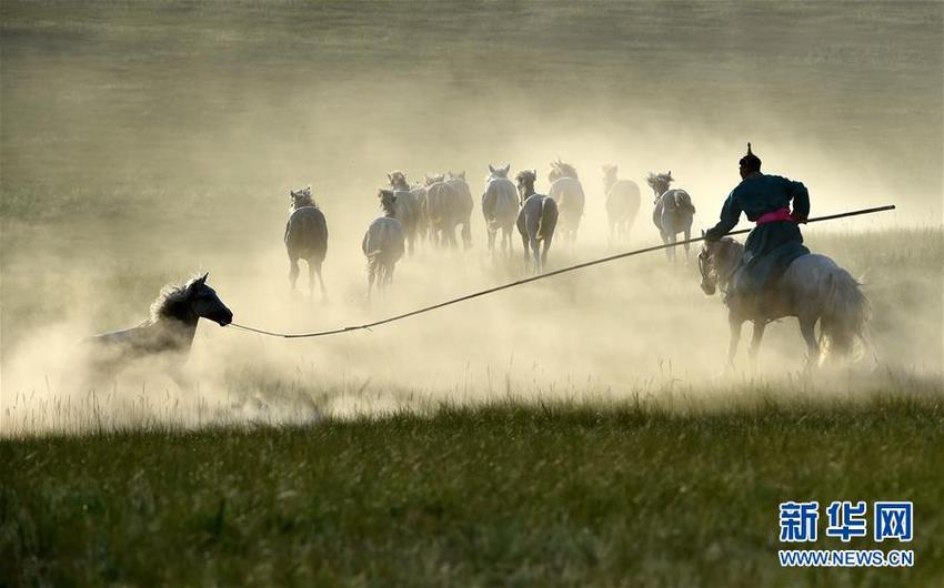 图片默认标题_fororder___172.100.100.3_temp_9500020_1_9500020_1_1_d1702805-ea5a-4f29-94bc-f64e1ae3e650