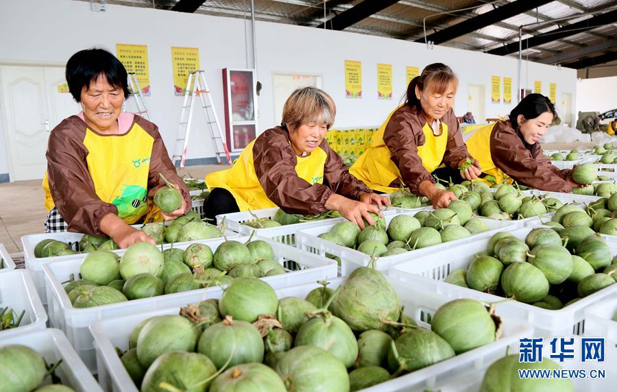 【焦点图-大图】【移动端-轮播图】大学生返乡创业 开启“甜蜜”致富路