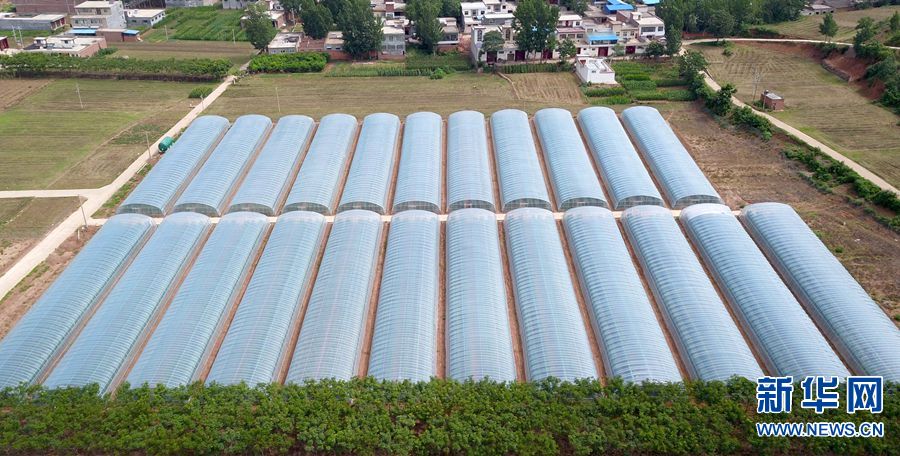 【焦点图-大图】【移动端-轮播图】大学生返乡创业 开启“甜蜜”致富路