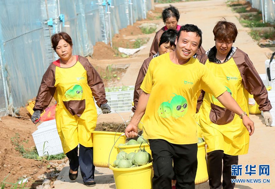 【焦点图-大图】【移动端-轮播图】大学生返乡创业 开启“甜蜜”致富路