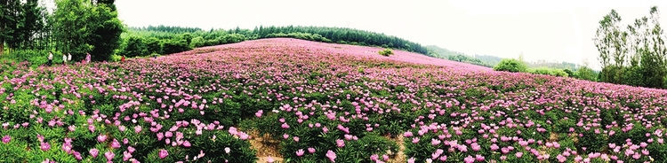 在白山行走 为山水停留