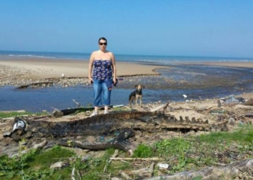 海怪出没?英国海滩现巨型动物神秘尸体 身长3米