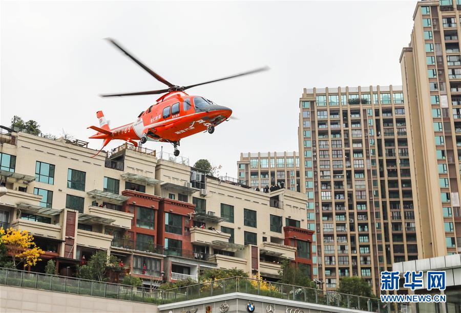 重庆陆水空立体化卫生应急体系初具规模(组图)