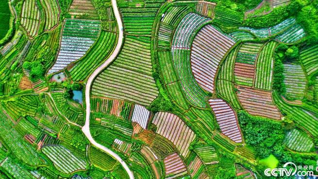 图片默认标题_fororder_J2-1