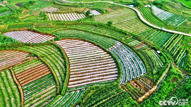 图片默认标题_fororder_J2-2