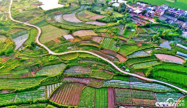 图片默认标题_fororder_J2-3