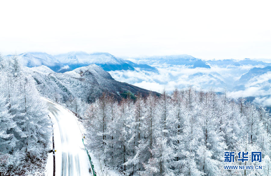 雾凇雪景 帧帧如画