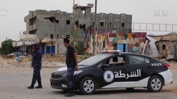 阿拉伯国家联盟举行特别外长会商讨利比亚局势