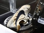 蘇富比拍賣耐克“月球鞋” 成交價約44萬美元創紀錄