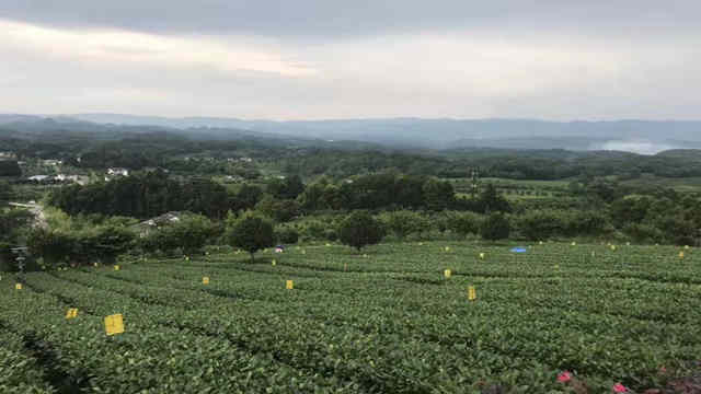 贵州因地制宜找准产业脱贫金钥匙