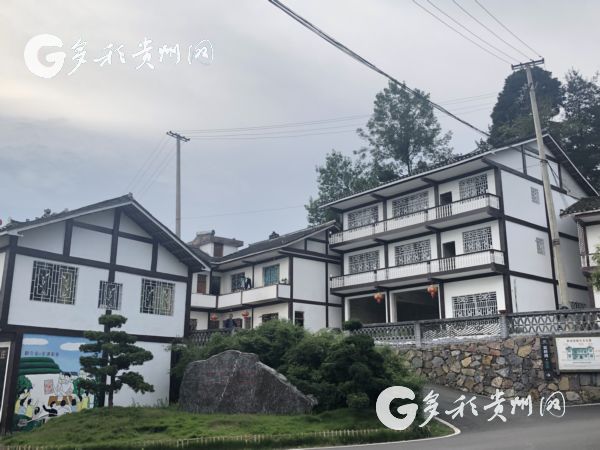 【脱贫攻坚地方行】田家沟脱贫记：小茶叶闯出了大名堂