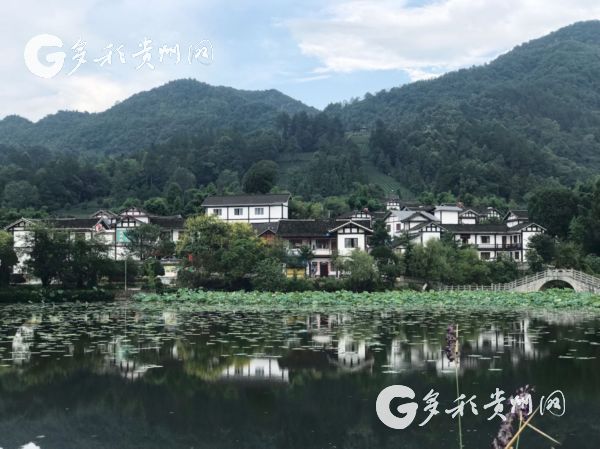 【脱贫攻坚地方行】田家沟脱贫记：小茶叶闯出了大名堂