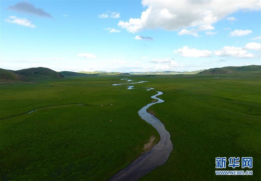 图片默认标题_fororder___172.100.100.3_temp_9500020_1_9500020_1_1_80f22b5d-0ed5-43a2-990e-dd1c41a1912e