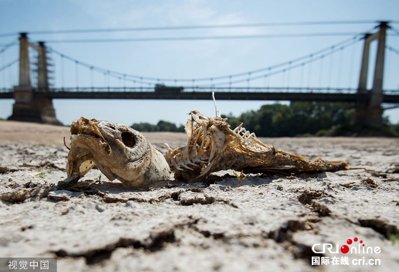 欧洲遭罕见热浪席卷：河流干涸 火车抛锚(组图)