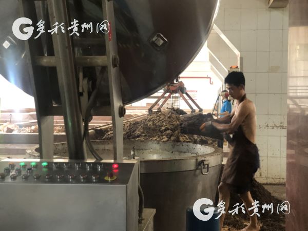 【脱贫攻坚地方行】“红高粱”与“白酒” 共舞产业致富“华尔兹