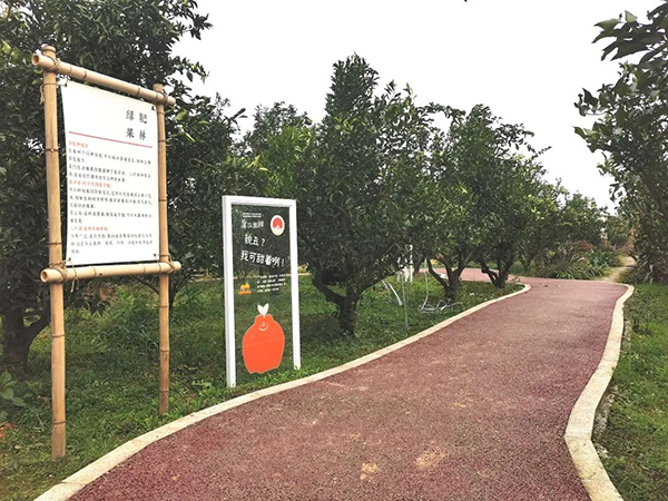 还未正式上市就已售罄 这个“零”农残蒲江果子背后藏着什么“秘密”?_fororder_铁牛村丑美生态果园-供图-蒲江县委宣传部