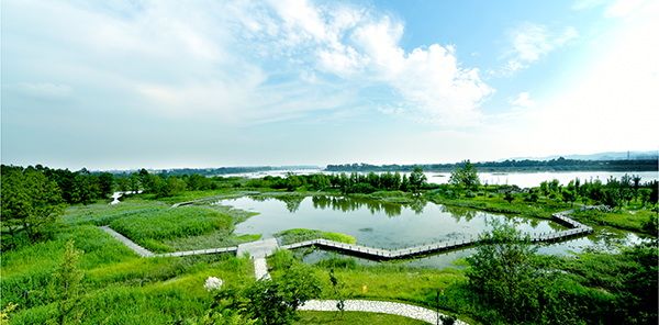 “2022年成都湿地宣传月”活动正式启动_fororder_成都各湿地公园景观--供图--成都市公园城市建设管理局-(6)