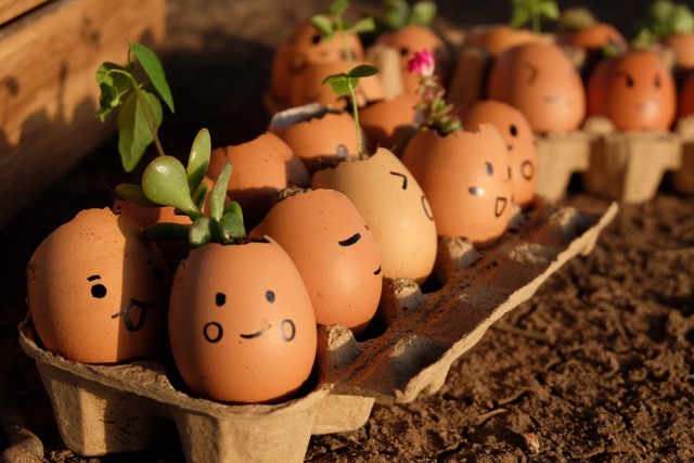 曼谷Central Embassy和Central Chidlom举办年度世界美食盛会 曼谷Central Embassy和Central Chidlom举办年度世界美食盛会