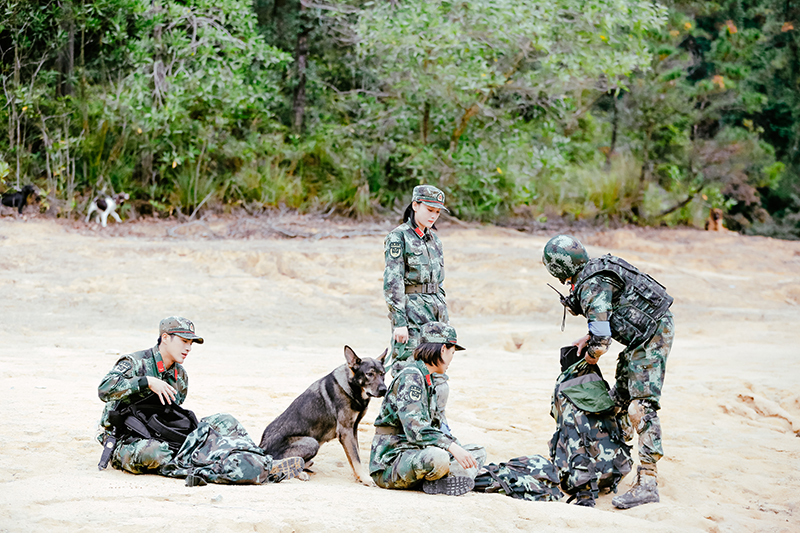 《奇兵神犬》泥潭救犬波折不断,杨烁匍匐前进