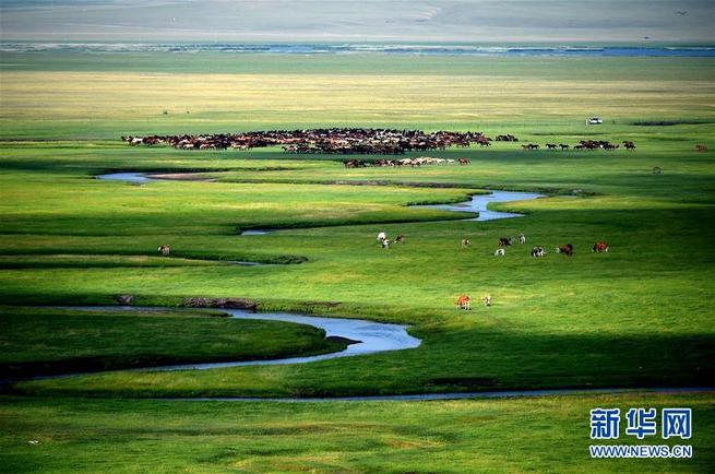 图片默认标题_fororder_草原3