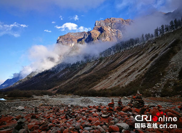 图片默认标题_fororder_1