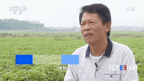 “南菜北运”：稳住“菜篮子”鼓了“钱袋子”